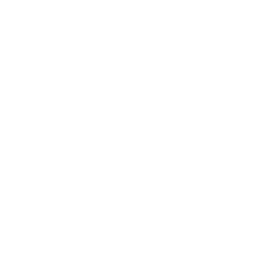 Magnifying Glass Icon